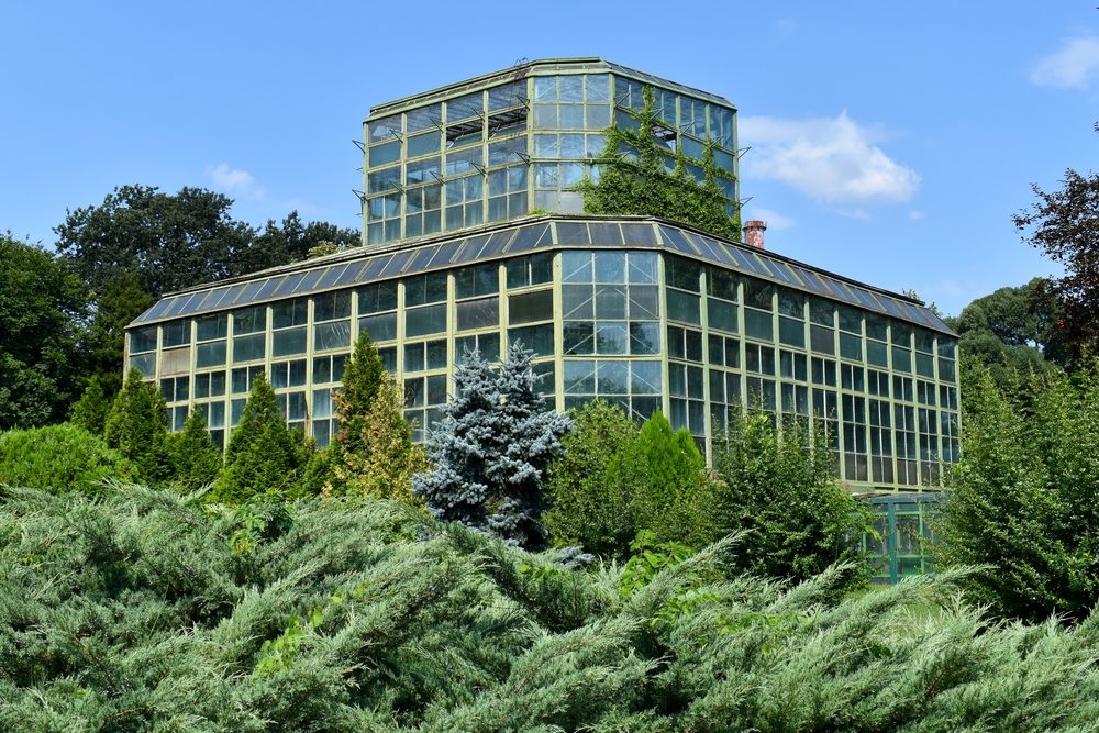 Grădina Botanică