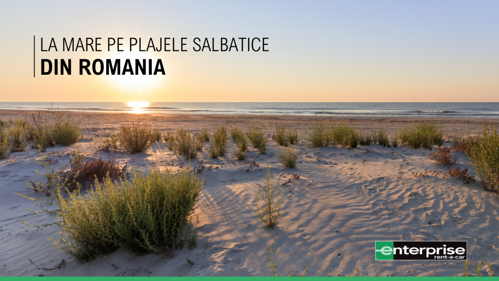 La mare pe plajele salbatice din Romania