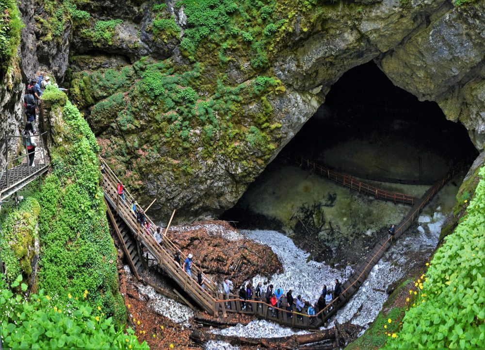 Ghețarul de la Scărișoara