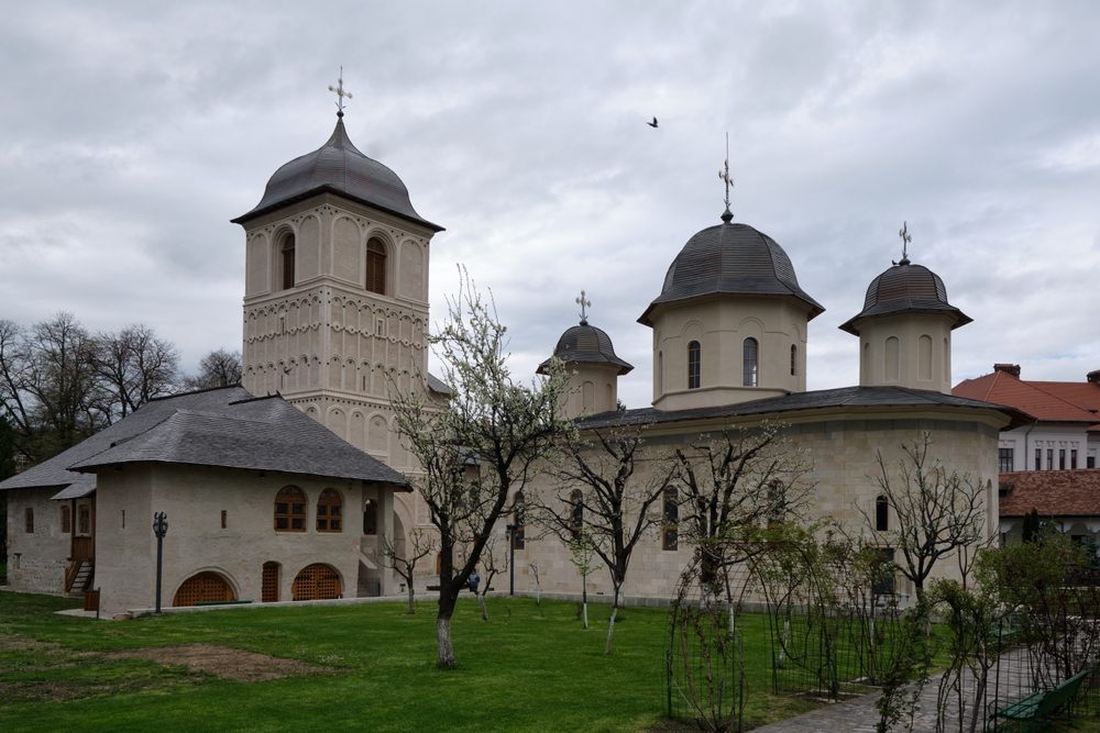 Mănăstirea Negru Vodă