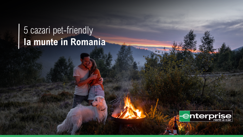 5 cazari pet-friendly la munte in Romania