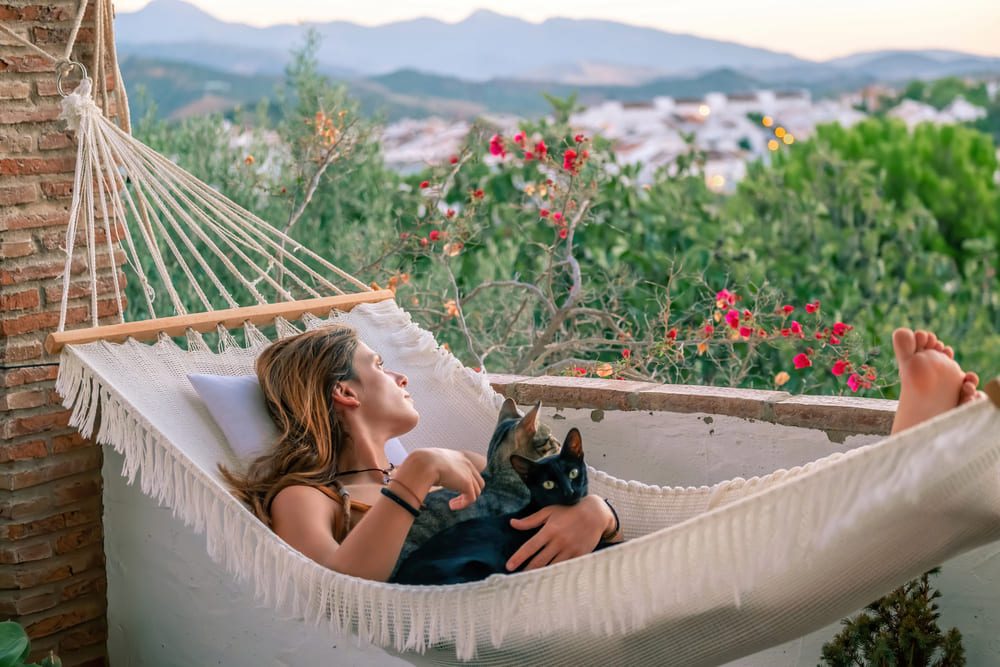 Unele cazări pet-friendly acceptă doar animale mici