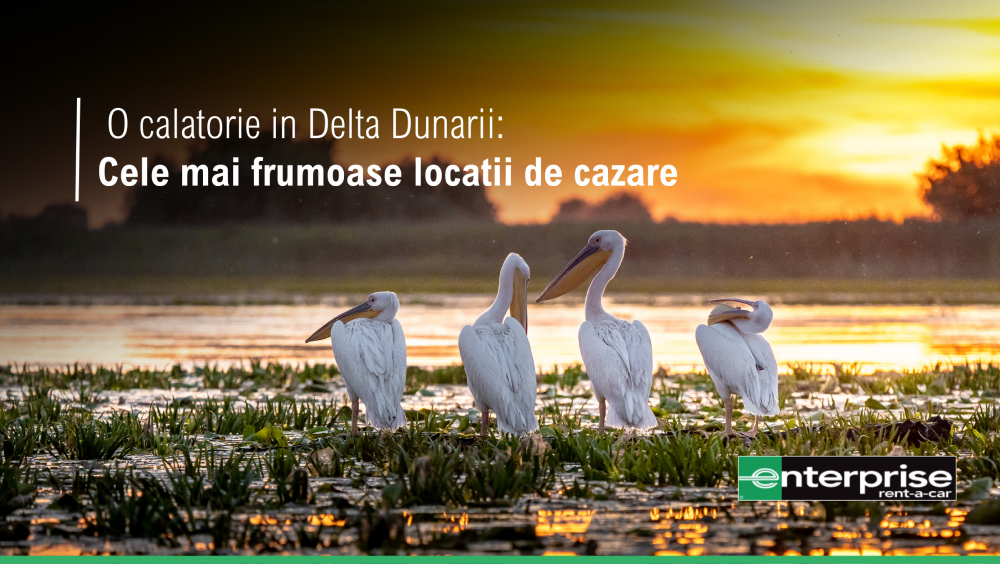 O calatorie in Delta Dunarii: Cele mai frumoase locatii de cazare