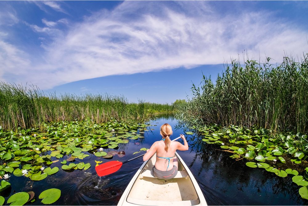 Excursie cu barca în Delta Dunării