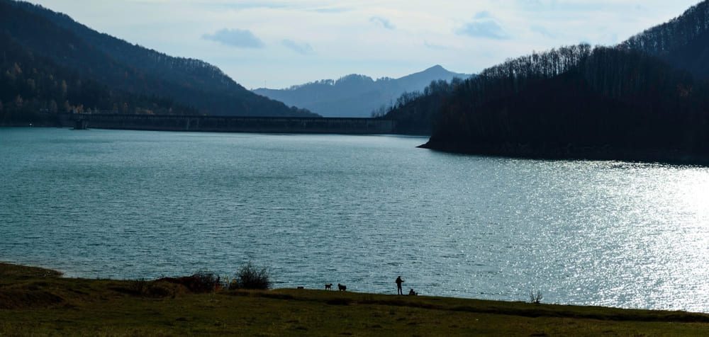 Lacul Paltinu