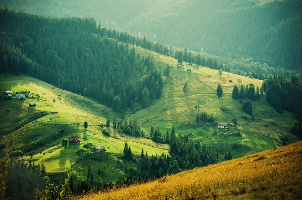 Munții Carpați