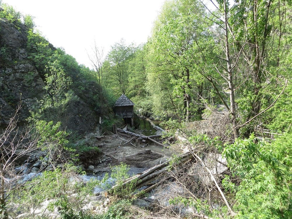 Rudăria: moara „Îndărătnica Mică”