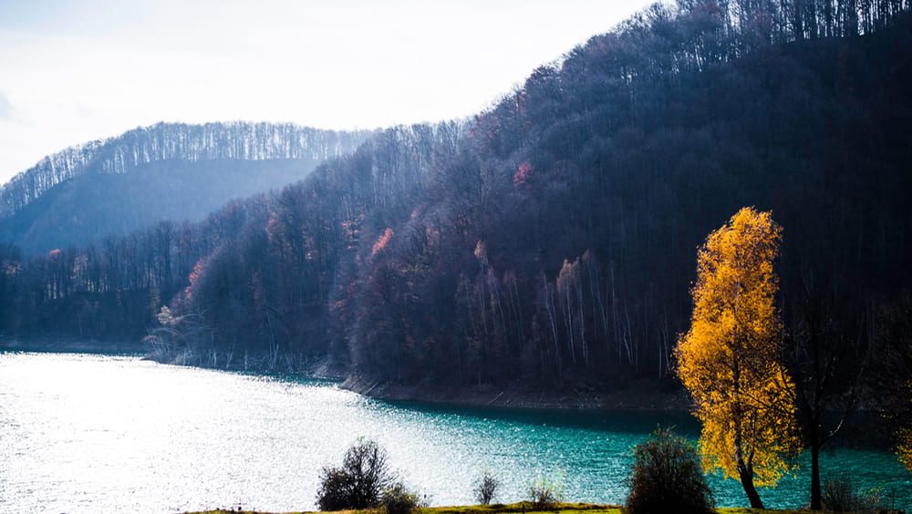 valea-doftanei